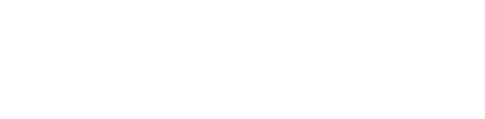 Lovagnini Automotores